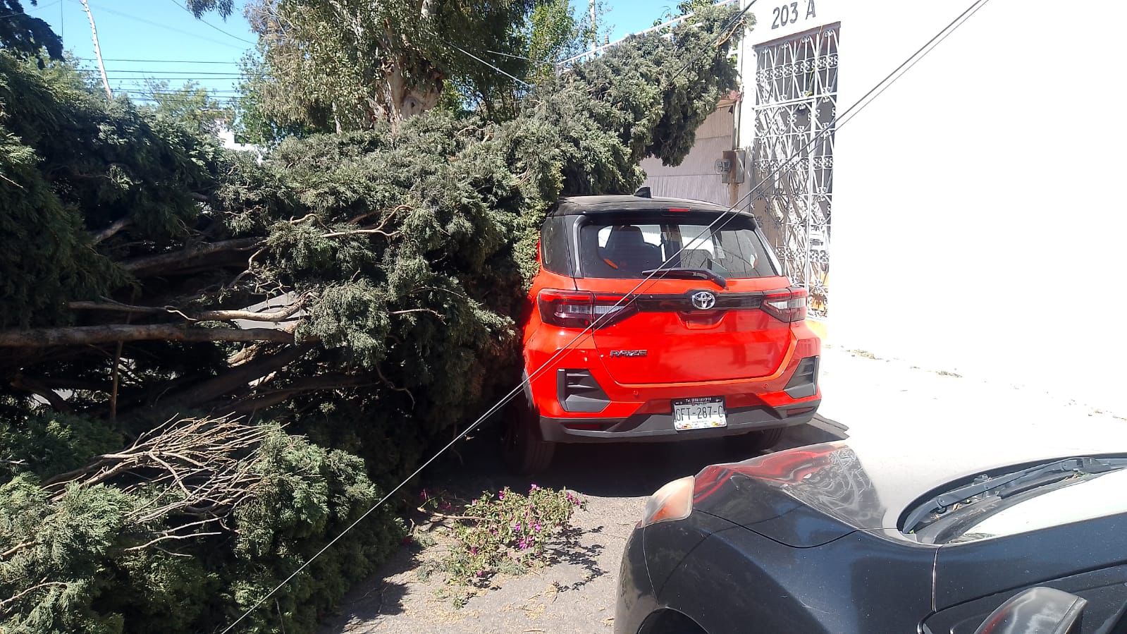 Fuertes rachas de viento provocan incidentes en la ciudad de Durango