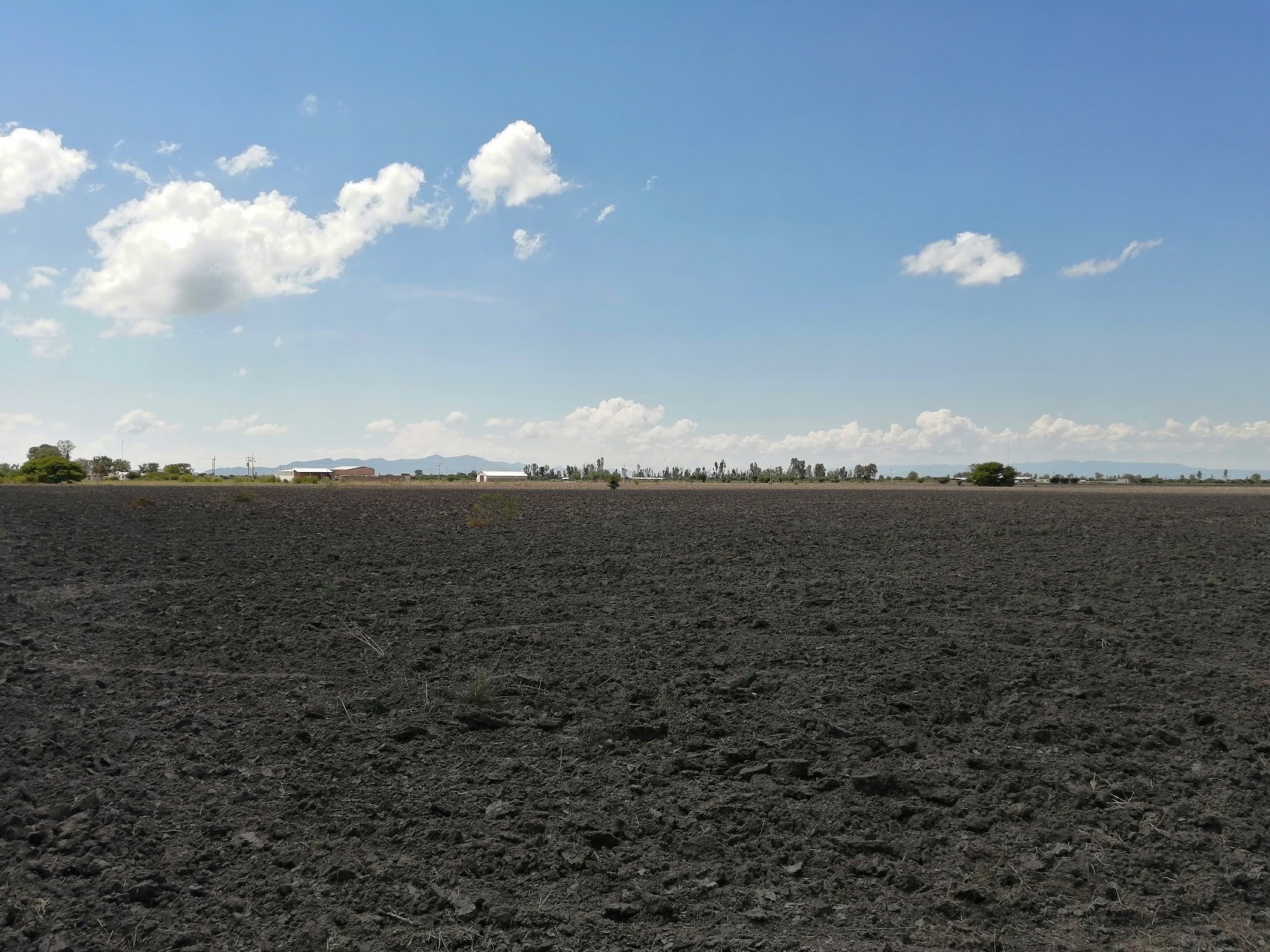 Algunos sufren por la falta de agua, mientras otros la roban para regar sus tierras