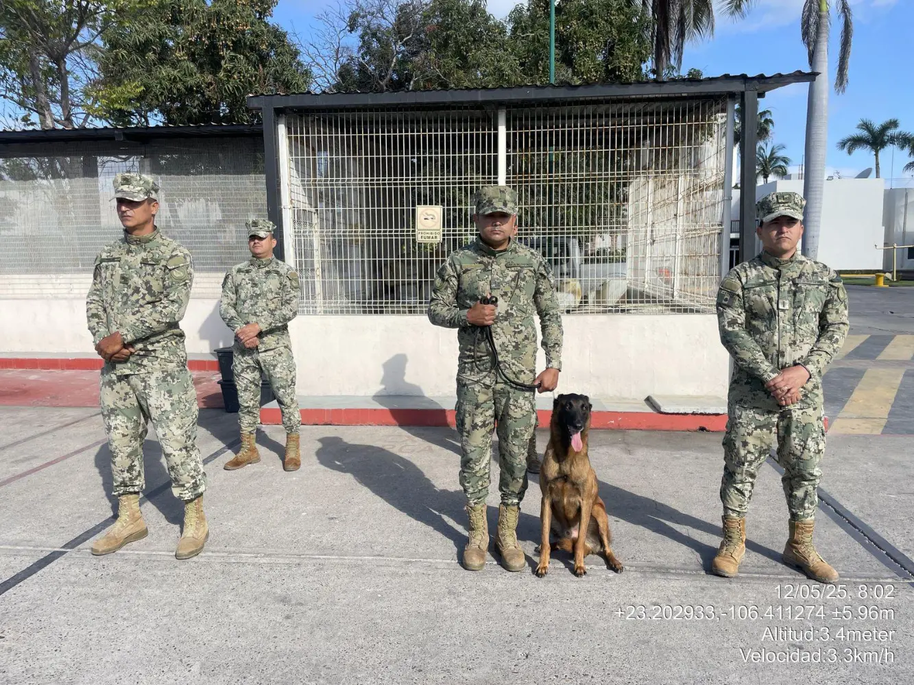 Confirman que perro militar descubrió explosivos días antes del Carnaval de Mazatlán