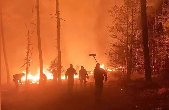 Diputados urgen recursos para frenar incendios forestales en Durango