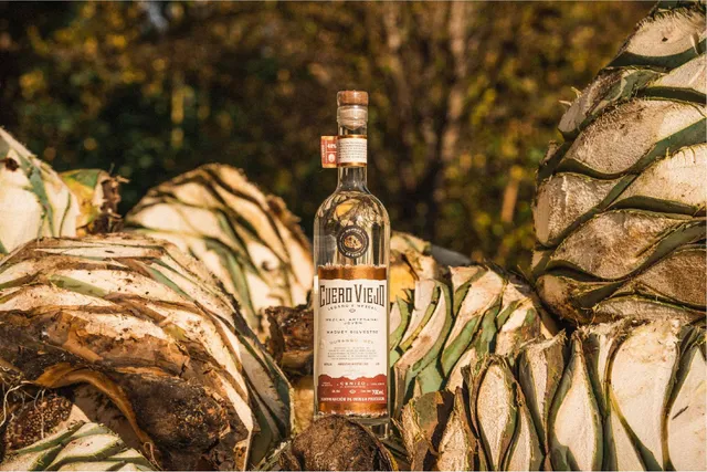 Proponen Ley para proteger y fortalecer al mezcal artesanal de Durango