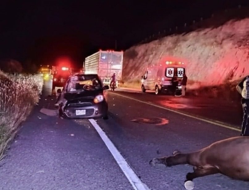 Conductor se sale del camino al esquivar un animal