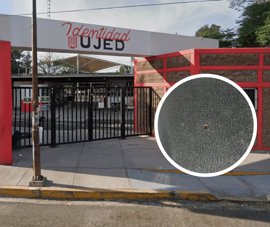 La Preparatoria Nocturna se suma a los planteles de la UJED infestados de chinches
