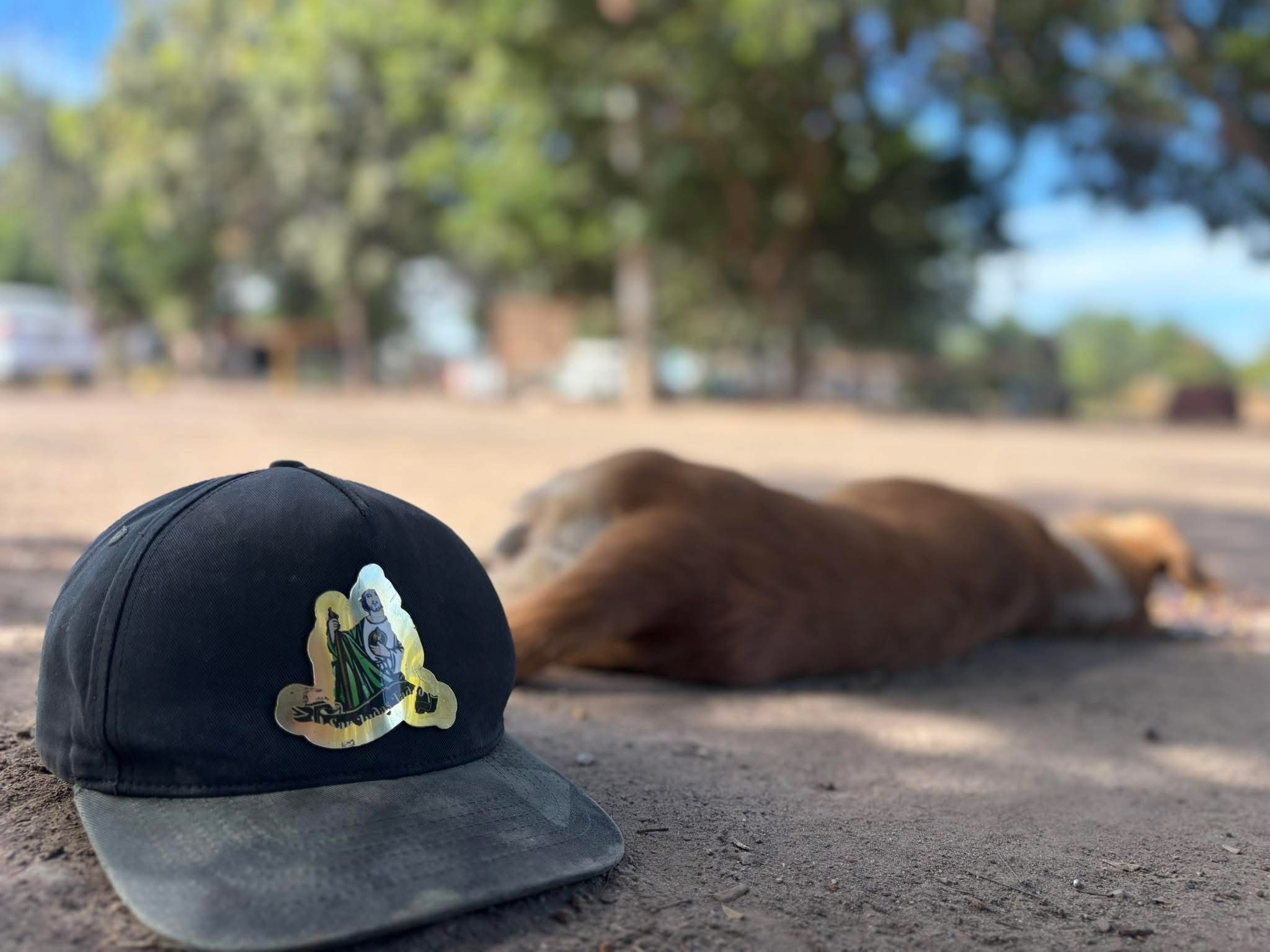 Sicarios llegaron a ejecutar a Jesús, su perro quiso defenderlo y ambos murieron