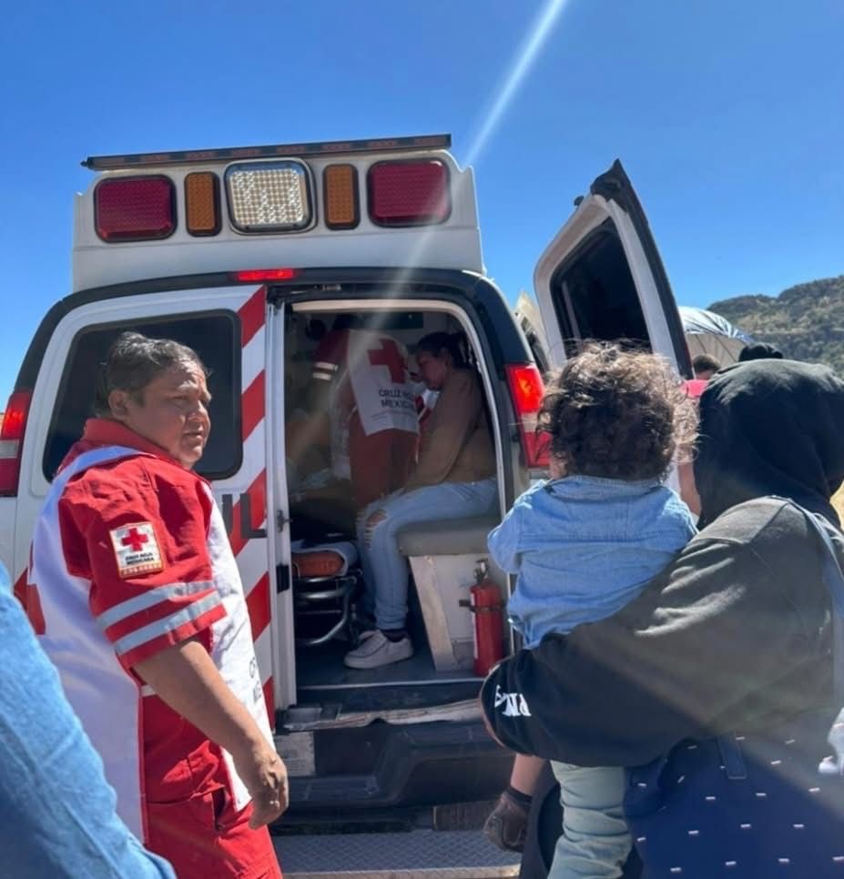 Enjambre de abejas ataca a visitantes en panteón de Canatlán