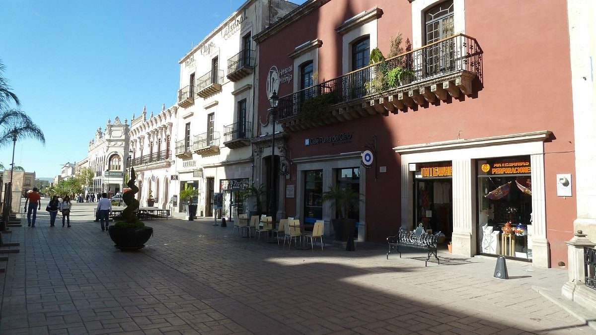 Empresarios jóvenes cierran 2025 con menor crecimiento económico