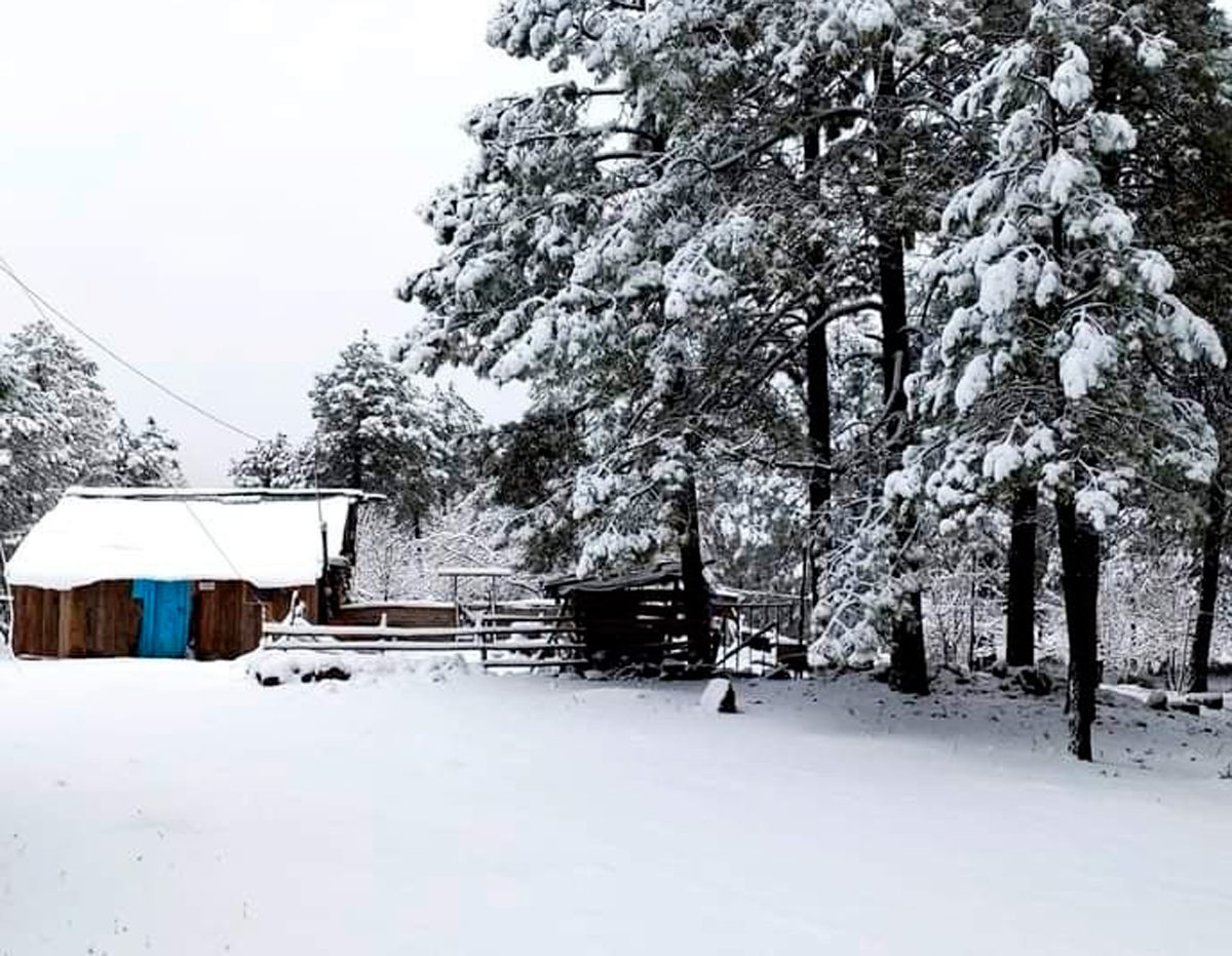 Alerta por el Frente Frío 18
