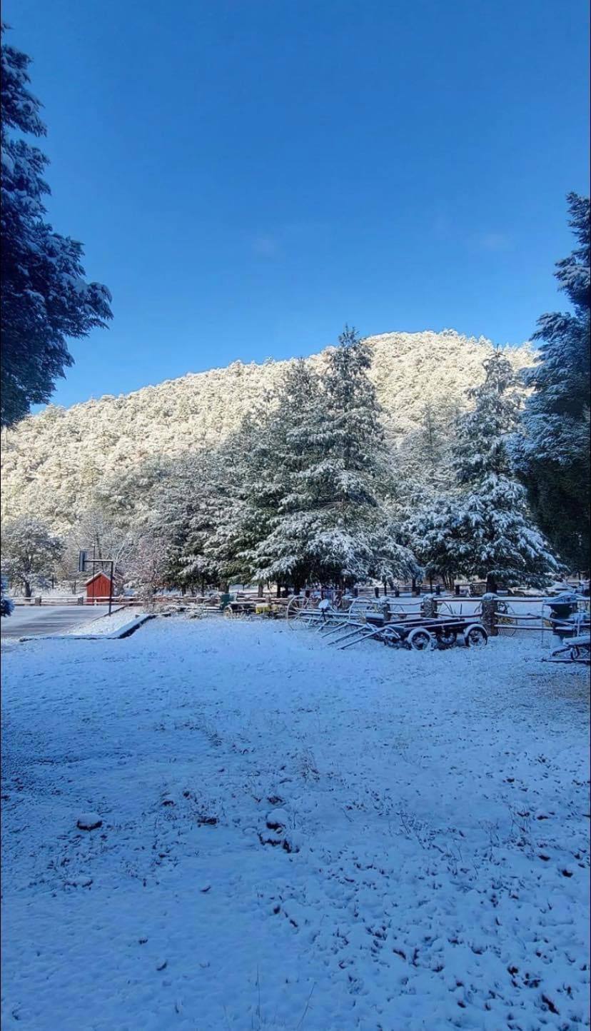 Durango amanece bajo la nieve por el frente frío 27
