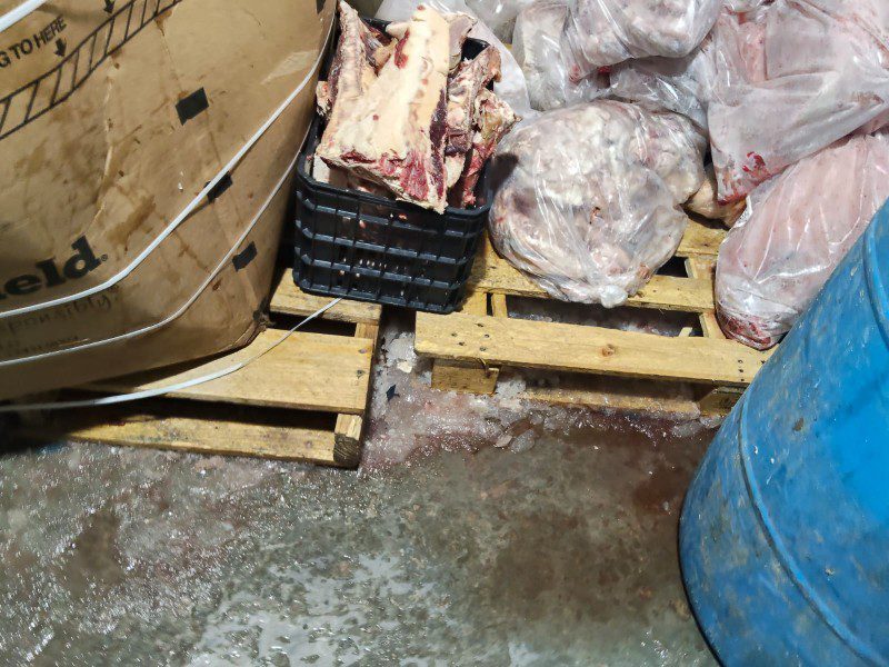 Cierran carnicería en la colonia Morga tras detectar irregularidades sanitarias