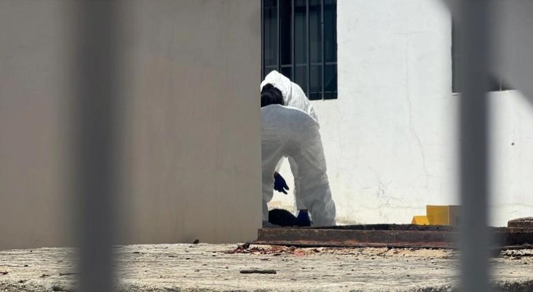 Mueren dos niñas haitianas tras caer en fosa séptica en albergue del DIF en Oaxaca