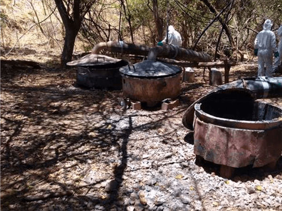 Marina desmantela dos laboratorios en Tamazula, Durango