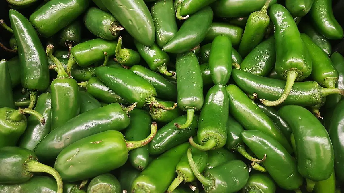 Chile poblano alcanza hasta 70 pesos por kilo, por inseguridad y falta de mano de obra agrícola