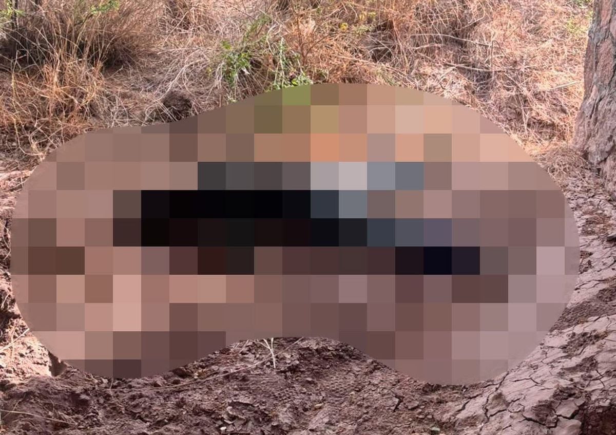 Hallan cuerpo de mujer en descomposición bajo puente en Mapimí